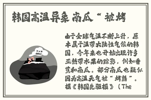 麻豆网无码AV在线观看